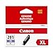 CanonInk Printer Ink
