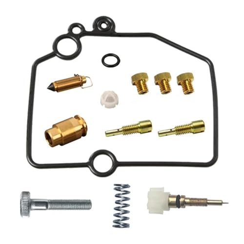 Kit réparation carburateur Yamaha TTR250 idéal entretien avant rando tout-terrain