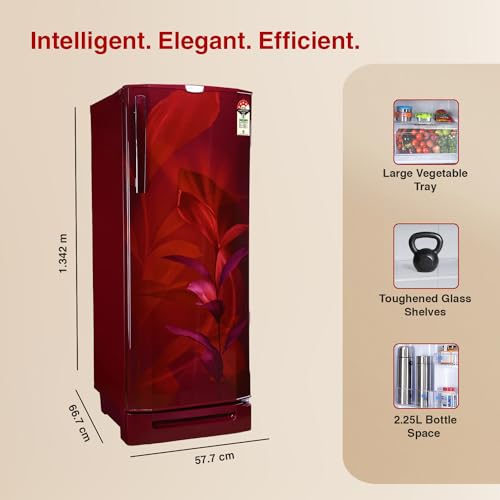 Image of Godrej 202 L 4 Star Advanced Inverter, Jumbo Vegetable TrayDirect Cool Single Door Refrigerator With Base Drawer(, RD 210D TDI MN WN, Marine Wine)