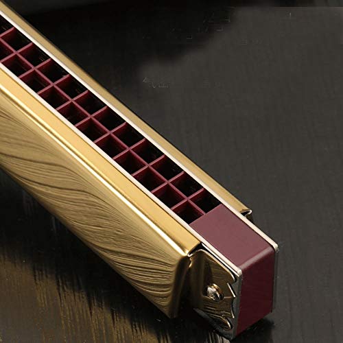 KMDSM Harmonica, 24 trous Chord Set 12 tons for une performance professionnelle, Crisp et sensible (argent, 17,8 * 2,9… - Les Beatles, Paul McCartney, John Lennon, RIngo Starr, George Harrison KMDSM Harmonica, 24 trous Chord Set 12 tons for une performance professionnelle, Crisp et sensible (argent, 17,8 * 2,9… – Image 4
