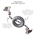 Pet Passion Natural Rubber Tire and Organic Cotton Rope Pull and Chew Dog Toy for All Pet Breeds, Gray, Medium