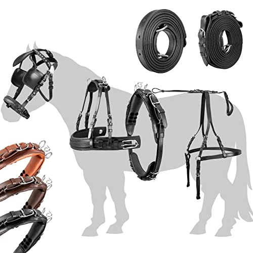 Esposita Einspännergeschirr „ Anatomic “ anatomisches Brustblatt Geschirr für Kutsche Einspänner Kutschgeschirr in Schwarz Gr. Mini Shetty