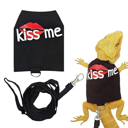 Laisses de dragon barbu – Toile respirante et lumineuse, harnais de lézard qui brille dans le noir, vêtements en laisse pour reptiles, fournitures pour petits animaux | Harnais de lézard pour la march