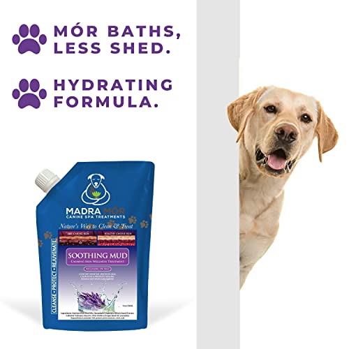 Image of Worldwide Nutrition Bundle: Madra Mor Soothing Mud - Dog Essentials Mud Bath, Dog Grooming, Dry Skin for Dogs Treatment, Dog Coat Skin Care Products - 10oz Pouch & Multi-Purpose Key Chain