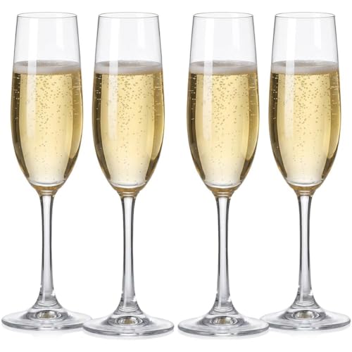 Copas de champán ligeras Lily para brindar en cenas al aire libre pack de 4 2