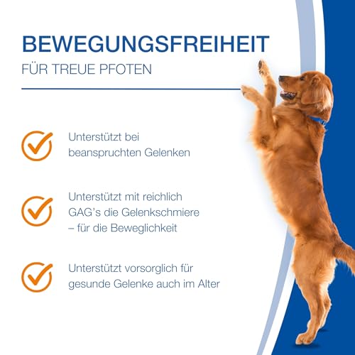 NutriLabs Canicox-HD Gelenktabletten für Hunde 50 Stk. - mit MSM, Chondroitin, Hyaluronsäure, Glucosamin & Teufelskralle - Gesundheitsprodukte für Hunde - Nahrungsergänzungsmittel Hund