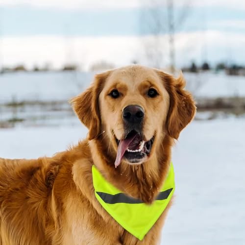 Reflektierende Sicherheit Hund Bandanas, Leuchthalsband Hund, Reflektierendes Hundehalstuch, Neon Farbe Sichtbarkeit Produkte Halstuch, Dreiecks Hundebandana für Nächtliche(Fluorescent Grün)