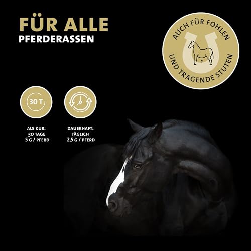 Peticare Relax-Mix Pulver für Pferde | Beruhigendes Ergänzungsfutter-Mittel | Natürliche Inhaltsstoffe, mit Baldrian & Ashwagandha | Stressabbau & Entspannung | petHorse Health 4601