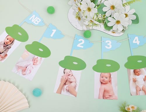 Image of Golf 12 Monthly Photo Banner - Hole In One Monthly Photo Banner,Newborn To 12 Months Banner,Baby's First Year Golf Themed Birthday(blue)