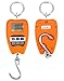QWORK Hanging Weight Scale, 200kg/440lbs Digital Crane Scales Fish Weighing Scale Aluminum Housing LED Display Scale for Fishing, Weigh Luggage, Home Farm