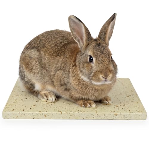 AUPETEK うさぎ涼感マット 大理石 猫クールボード 魔法の天然石 犬涼感プレート 25*15cm 厚み1.5センチ ハムスター ウサギ 冷却マット Ｓサイズ 汚れにくい 夏グッズ 熱中症対策Ｂタイプの商品画像（Amazon）