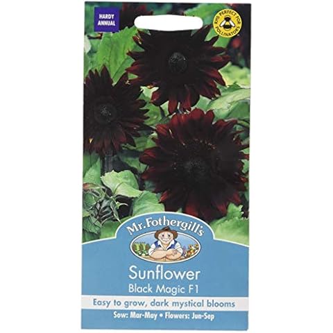 Mr. Fothergill's Magic F1 Sunflower Seeds Cover