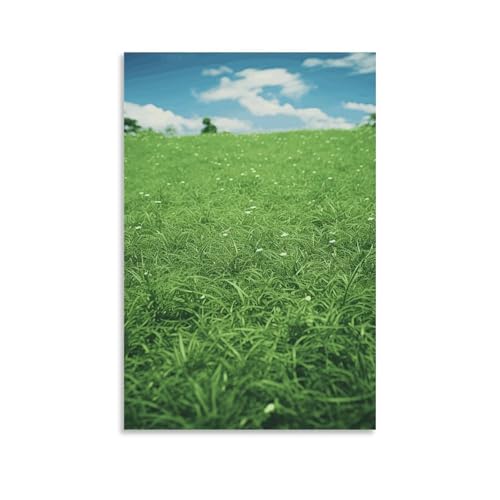 Toile murale pelouse verte grand format 60 x 90 cm