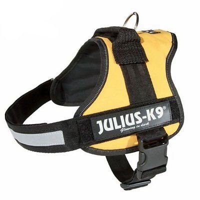 Julius-K9 Powerharness, 3, sun