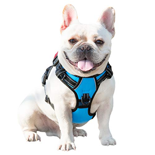 Image of PHOEPET No Pull Dog Harnesses for Small Dogs Reflective Adjustable Front Clip Vest with Handle 2 Metal Rings 3 Buckles [Easy to Put on & Take Off](XS, Blue)