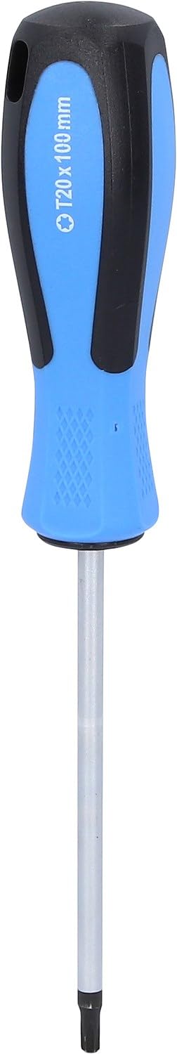 BRILLIANT TOOLS BT031013 Giravite TORX, T20 x 100 mm [Powered by KS TOOLS]