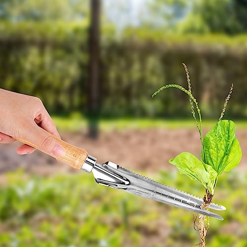 Foto von CTDMJ Unkrautstecher Edelstahl 3Stück Manueller Unkrautjäter mit Holzgriff, Garten Manueller Weeder Wurzeljäter Gartengerät Wurzeljäter Unkrautgabel zum Garten zum Graben, Lösen, Umpflanzen, Jäten