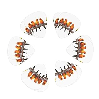 Perroquets jaunes colorés sur branche médiators de guitare ensemble de 12 pièces pour guitare acoustique, guitare… - Les Beatles, Paul McCartney, John Lennon, RIngo Starr, George Harrison Perroquets jaunes colorés sur branche médiators de guitare ensemble de 12 pièces pour guitare acoustique, guitare… – Image 2