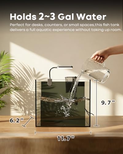 Image of 3 Gallon Aquarium Set Small Fish Tank Glass, Starter Kit with Heater Water Pump Cleaning Filter Bright Light Rocks Gravel Cleaning Tool, Leak-Proof Clear Rimless Desktop Spaces Saving Betta Fish