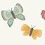 Butterflies (Pack of 1)