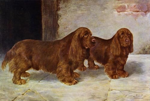Tableau Sussex Spaniels Rosehill Cheviot - Habillez vos grands murs vides avec une toile 60x90