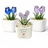 Elegante scrivania o decorazione per la casa: il tulipano si trova in un vaso di ceramica minimalista pieno di pietre decorative, rendendolo una decorazione affascinante per scrivanie, mensole, comodini, uffici o salotti.