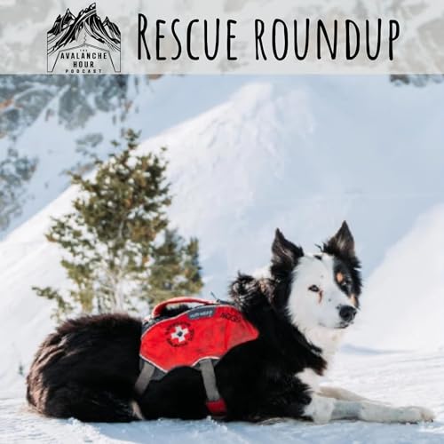 Jake Hutchinson x Rescue Roundup Podcast Por  arte de portada