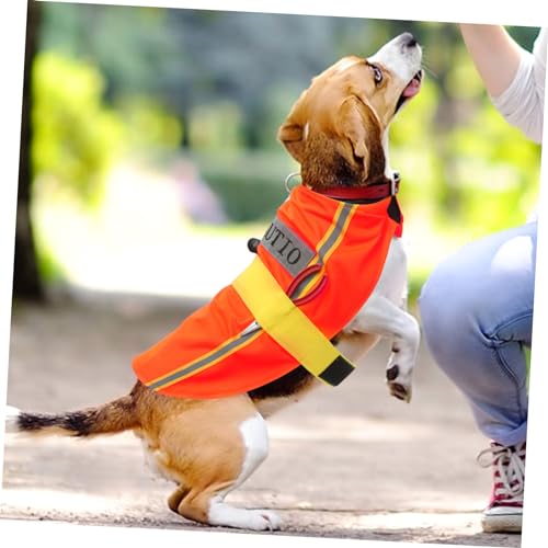Disfraz para cachorro resistente balacoo tamaño L naranja miniatura 6