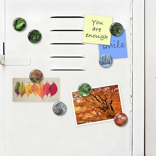 16 Imanes Decorativos de Resina para Refrigerador miniatura 6