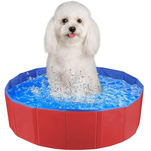 Faltbarer Hundepool,50x8 cm Hundeplanschbecken,Planschbecken für Haustiere für Kleine und Große Hunde, PVC Schwimmbecken, Faltbare Hundepool für Kleine Hunde 