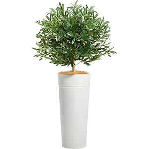 KOL 4.2FT Artificial Olive Tree with Galvanized Steel White Tall Planter, Realistic Fake Faux Olive Silk Tree & Superbly Crafted Flower Pot, Modern Elegant Home Office Living Room Decor Indoor Outdoor KOL 42FT Artificial Olive Tree with Galvanized Steel White Tall Planter Realistic Fake Faux Olive Silk Tree Superbly Crafted Flower Pot Modern Elegant Home Office Living Room Decor Indoor Outdoor