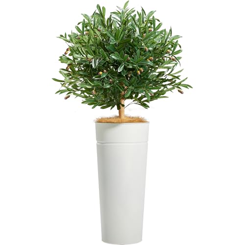 KOL-42FT-Artificial-Olive-Tree-with-Galvanized-Steel-White-Tall-Planter-Realistic-Fake-Faux-Olive-Silk-Tree-Superbly-Crafted-Flower-Pot-Modern-Elegant-Home-Office-Living-Room-Decor-Indoor-Outdoor KOL 42FT Artificial Olive Tree with Galvanized Steel White Tall Planter Realistic Fake Faux Olive Silk Tree Superbly Crafted Flower Pot Modern Elegant Home Office Living Room Decor Indoor Outdoor