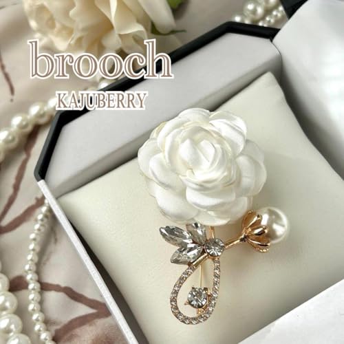 KNu[` RT[W ؂₩ i Ǝ  Ӊ