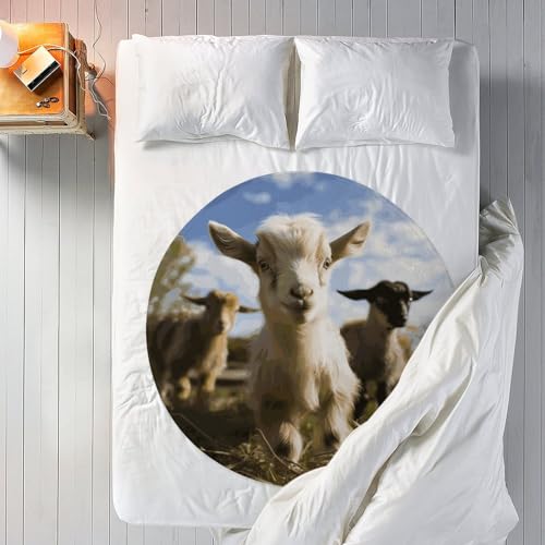 Drap de plage rond anti sable microfibre coton absorbant à franges 150cm - 7