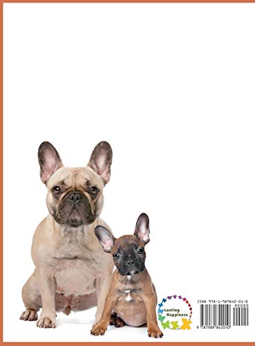 Dog Breeds: A Picture Book For People Who Like Dogs, Not Words (5) (For Adults With Dementia And Other Life Challenges) #TOP1
