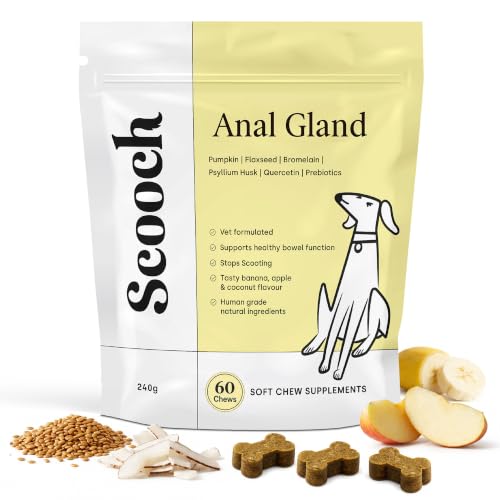 Scooch Anal Gland Supplement for Dogs — Fibre Chews Dogs Actually Eat | Banana, Apple & Coconut | Supports Firm Stools & Natural Gland Emptying | Plant-Based, Grain-Free | 60 Chews
