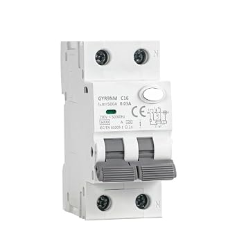 Type A RCBO 2P 4P Magnetic Residual Current Circuit Breaker with Over Current Protection 10A 16A 25A 32A 40A 30mA2P 16A 30mA