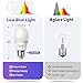 DALUXshop Amber Sleep Light Bulbs, Blue Light Blocking, A19 9W(60 Watt Equivalent) Dim Light Bulbs for Lamp, 1800K Warm Light Bulb, E26 for Healthy Sleep Bedroom Kids Room, 4.30X2.35X2.35 Inch, 2 Pack
