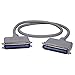 QVS 3ft SCSI Cen50 Male to Male External Cable