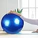 harayaa Ball Exercise Balance Ball Stability Gymnastics Ball Heavy Duty PVC Material Suitable for, 65CM Blue