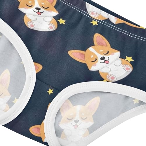 Cute Cartoon Corgi Dogs Starry Panties for Girl Toddlers Underwear Floral Cotton Colorful Kids Undies Briefs 2t4