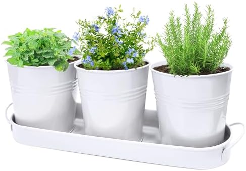 Small Pots for Plants, 3-Pack 4.7 Inch White Metal Herb Pots, Min...