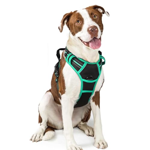 rabbitgoo Dog Harness No Pull 2 Leash Clips, Adjustable