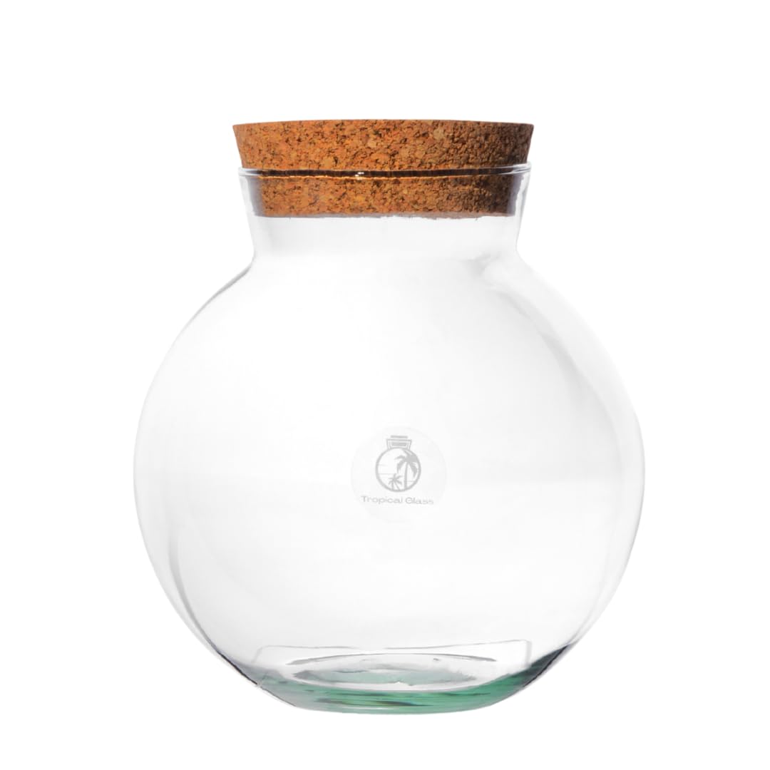 18cm Terrarium Jar with Cork Lid - Glass with Cork Lid, Terrarium Jar, Closed Terrarium - Perfect for DIY Terrariums - Glass Plant Terrarium - Plant Arrangements - Small Terrarium Container