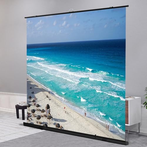 Pantalla de proyección portátil 60 pulgadas plegable 16:9