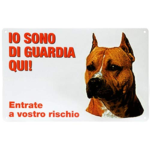 Targa in Plastica Io Sono Di Guardia Qui 28x18 cm con Cane Pittbull