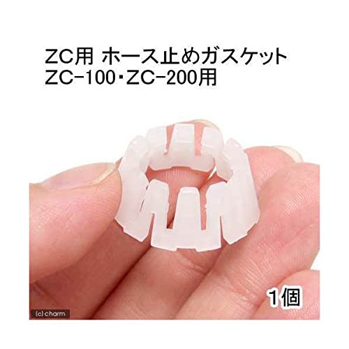 pN[[ ybp z[X~߃KXPbg Piyb|POOAyb|QOOpj