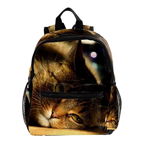 Sac à dos pour garçons imperméable à bretelles ergonomiques et motif chat