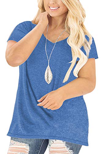DOLNINE Womens Plus Size Shirts Loose Basic Tunic Tops Swing Dressy Blouse Tees Blue-26W