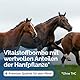 The Horse Vitality Company Hanfmischung Plus 1 kg Pulver | Ergänzungsfuttermittel für Pferde mit Hanf & Magnesiumcitrat| Muskelaufbau, Fell, Immunsystem & Nerven | 100% natürlich | Made in Germany